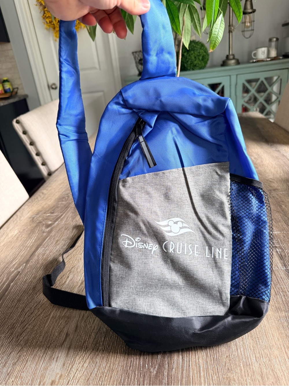 Disney Cruise Line Crossbody Sling Bag
